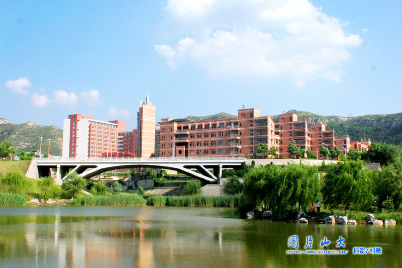 山东大学是211吗_山东大学是985吗