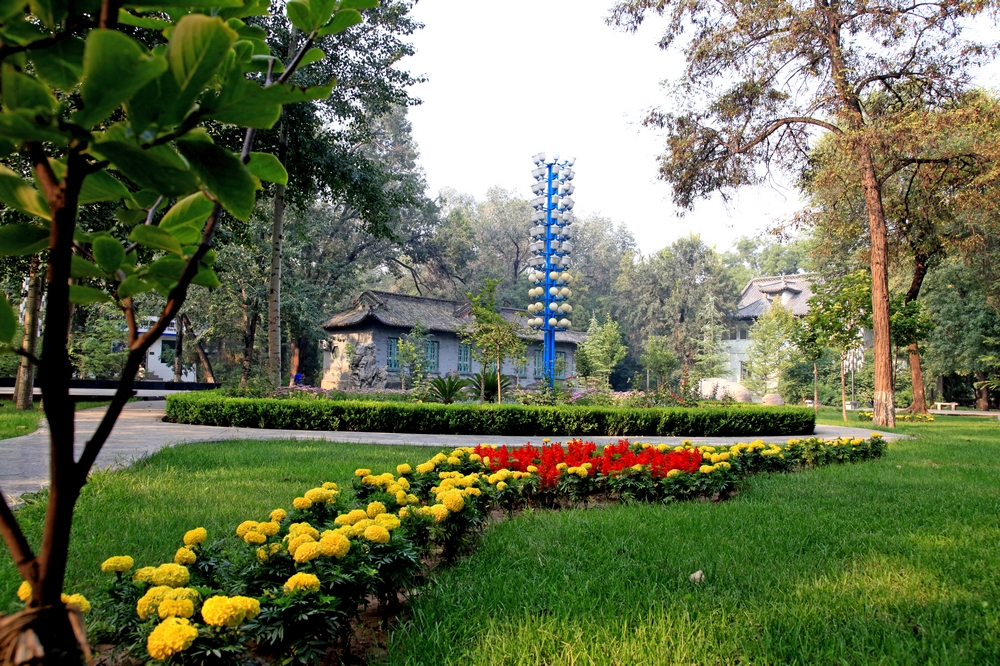 山西农业大学校园风景9085