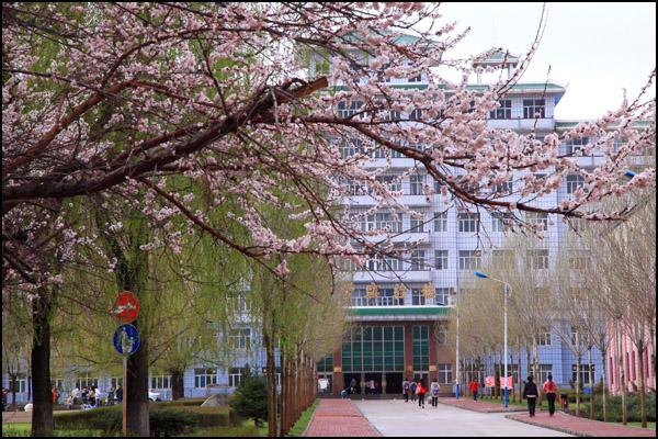 武警海警学院校园风景15025