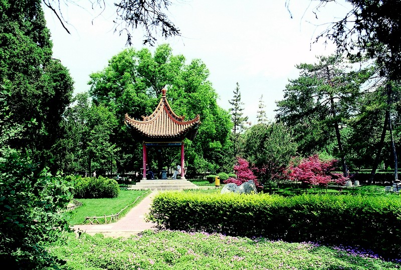 陕西师范大学校园风景(21473)