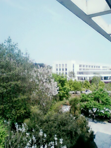 赣南师范大学校园风景(19689)