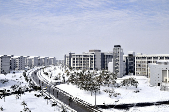 安徽大学校园风景3751