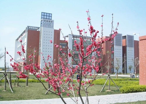 郑州航空工业管理学院校园风景(751)