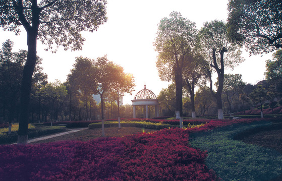 长沙学院校园风景(5329)