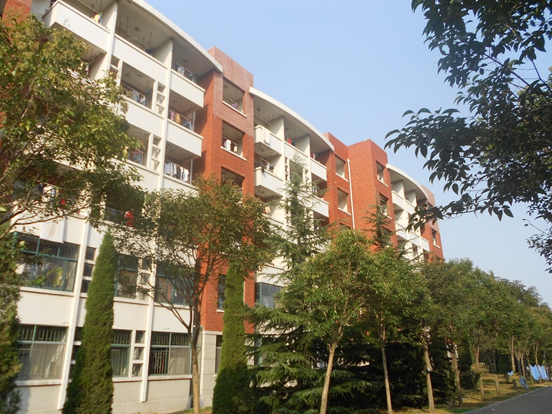 山东科技大学校园风景62122