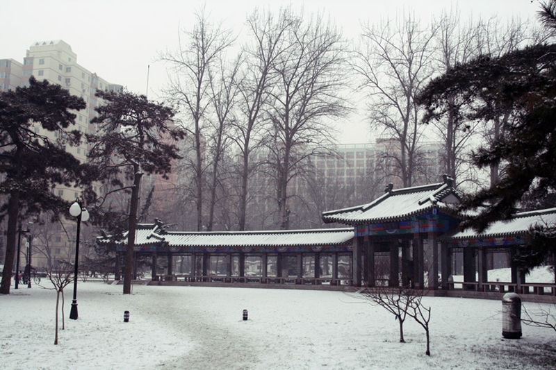 中国人民大学校园风景36363