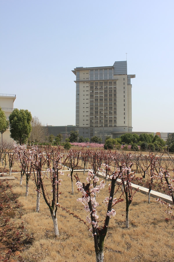 南京财经大学校园风景38231