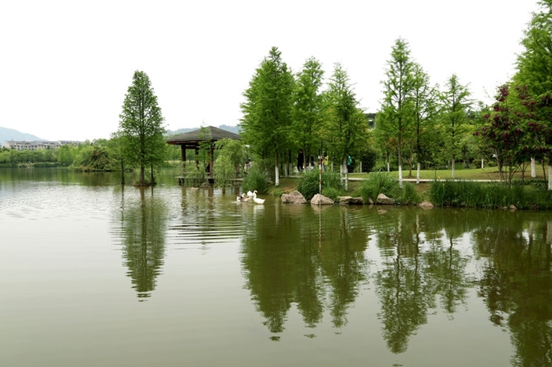 浙江农林大学校园风景(42086)