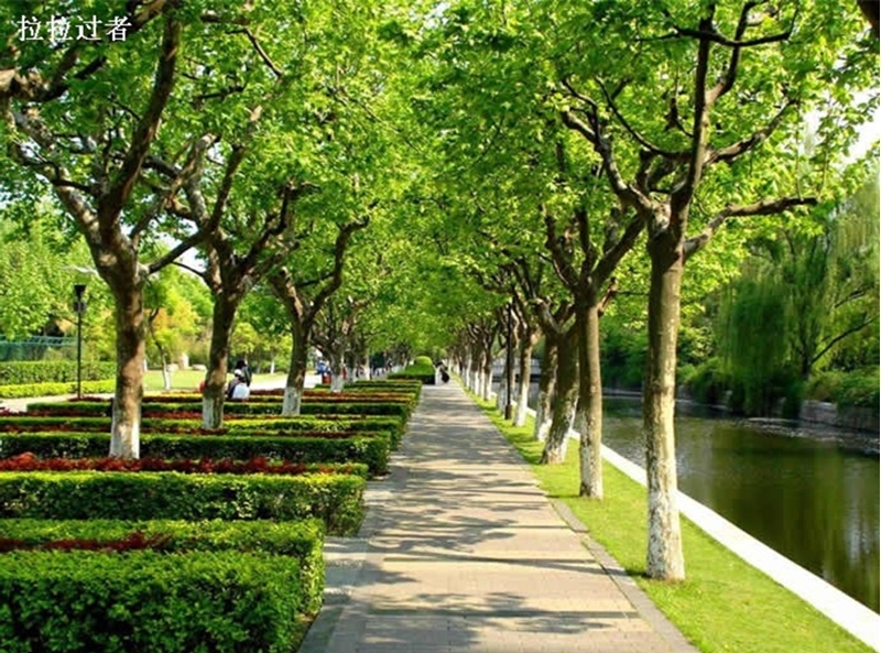 华东师范大学校园风景