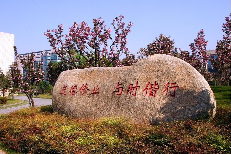 浙江财经大学校园风景(31828)