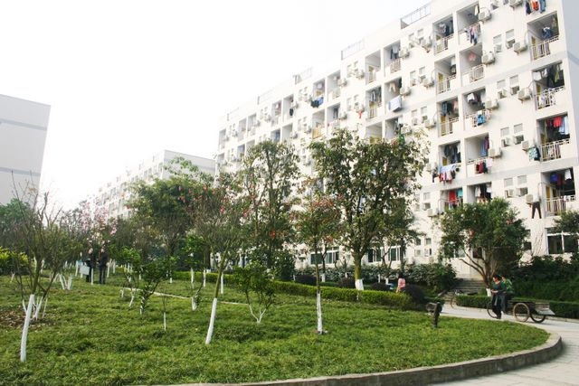 重庆师范大学校园风景(33237)