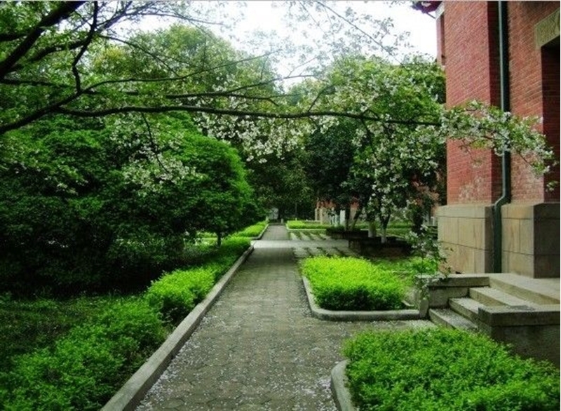 湖南大学校园风景53627