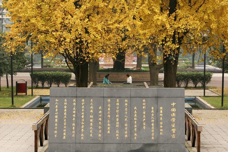 重庆医科大学校园风景48037