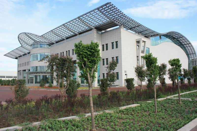 石河子大学校园风景(44823)菊花水粉画教学设计图片