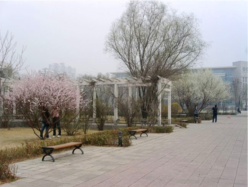 山西财经大学校园风景(40973)