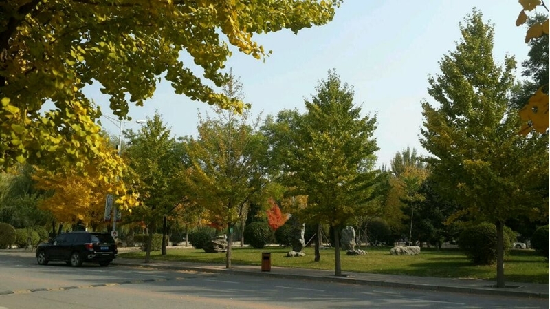 沈阳师范大学校园风景(45513)