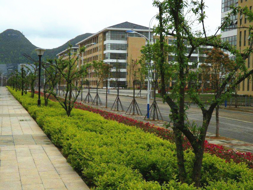 贵州医科大学校园风景(53508)
