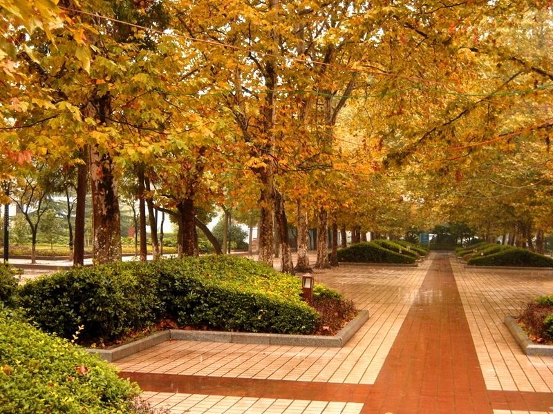 贵州医科大学校园风景(53493)