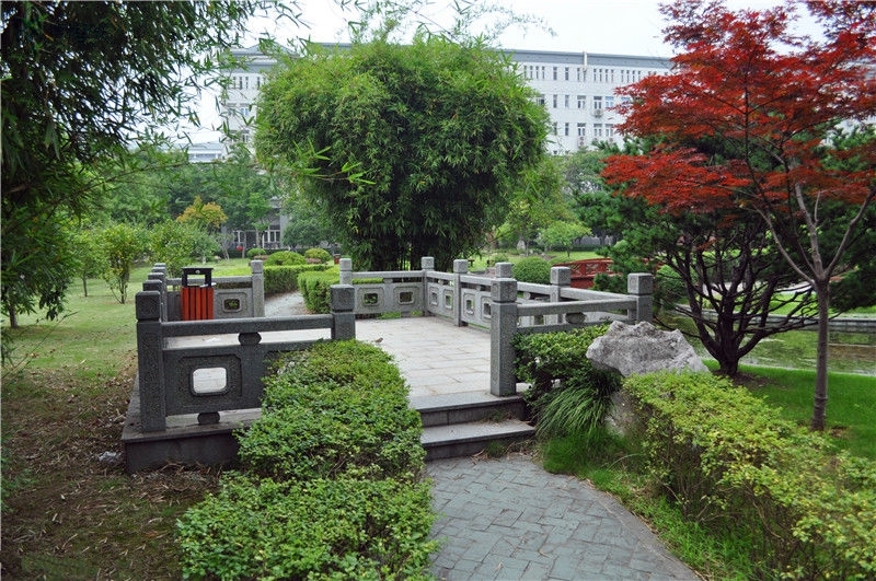 浙江中医药大学校园风景65303