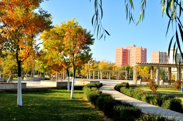 河西学院校园风景34389