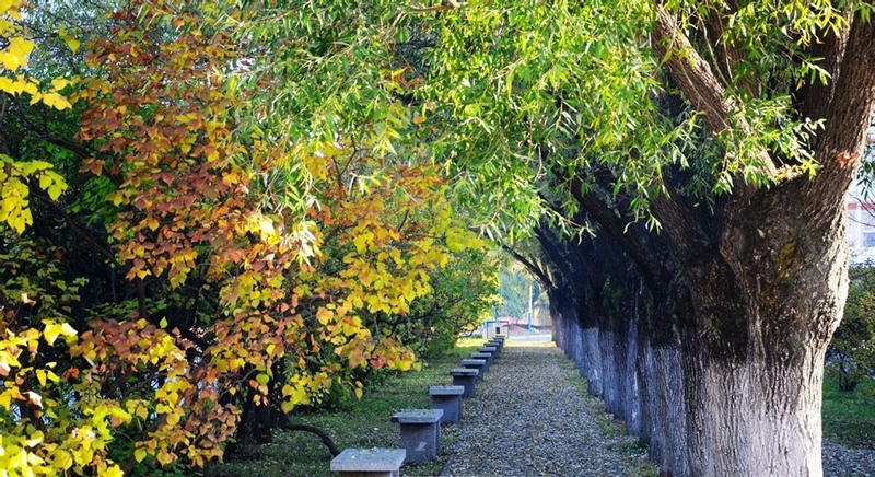 通化师范学院校园风景57064