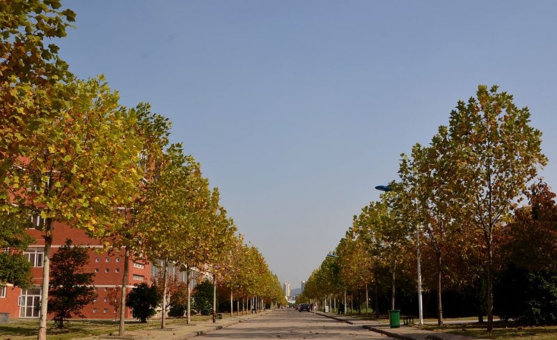 淮南师范学院校园风景(58109)