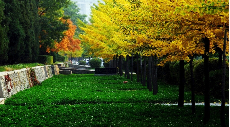 鞍山师范学院校园风景61309