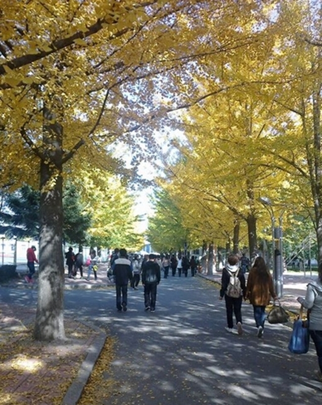 辽东学院校园风景32282