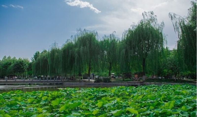 河北金融学院校园风景34922