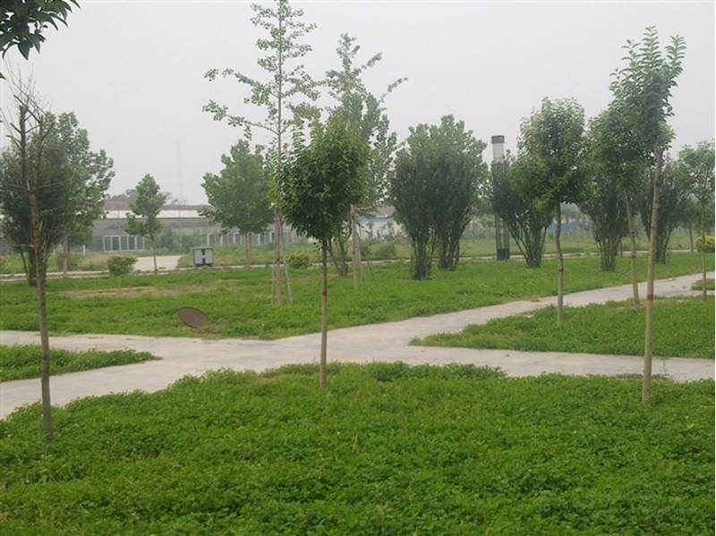 沧州师范学院校园风景38877