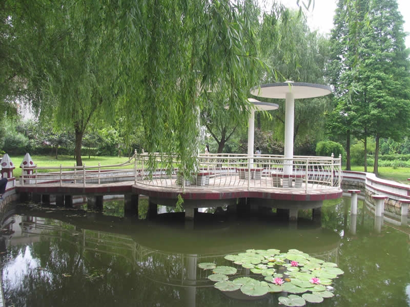 信阳农林学院校园风景65382