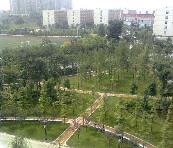 成都师范学院校园风景(66492)