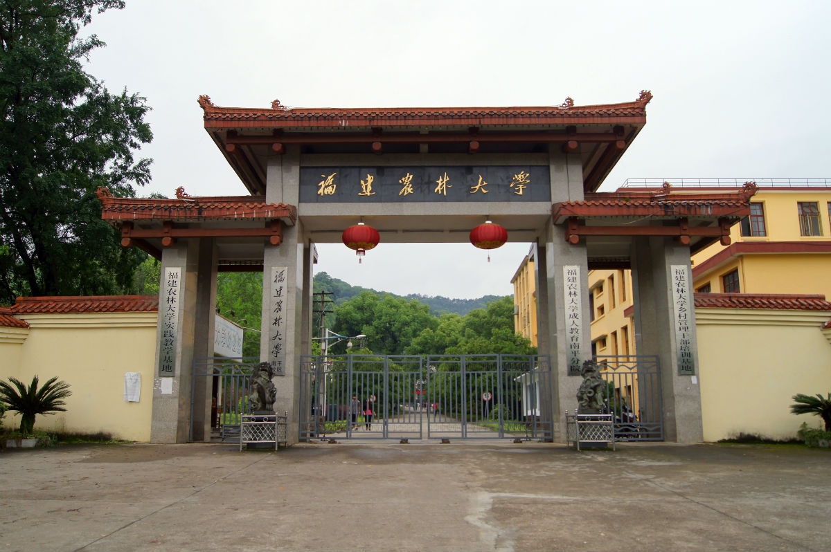 福建农林大学金山学院校园风景53933