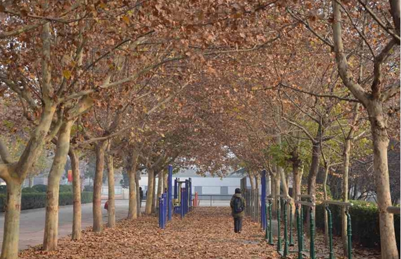 河北师范大学汇华学院校园风景52925