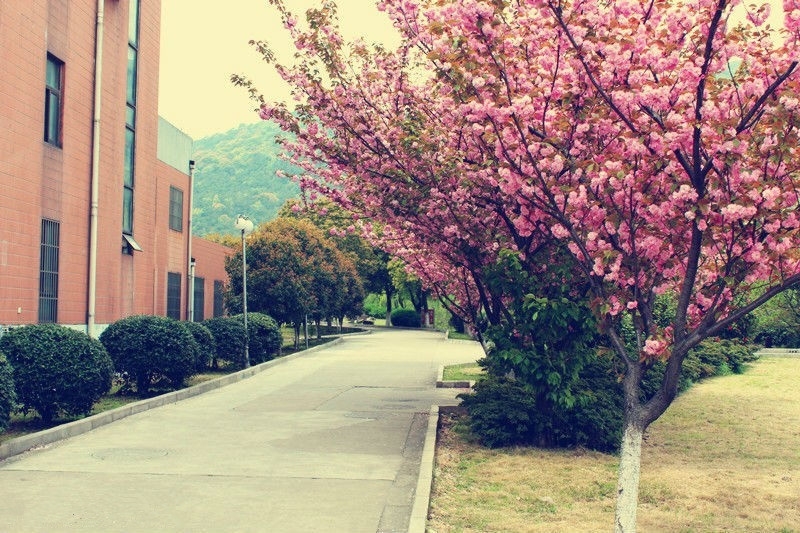 无锡太湖学院校园风景(56353)