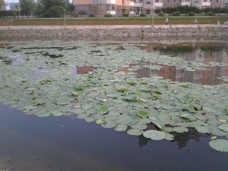 吉林医药学院校园风景(33776)