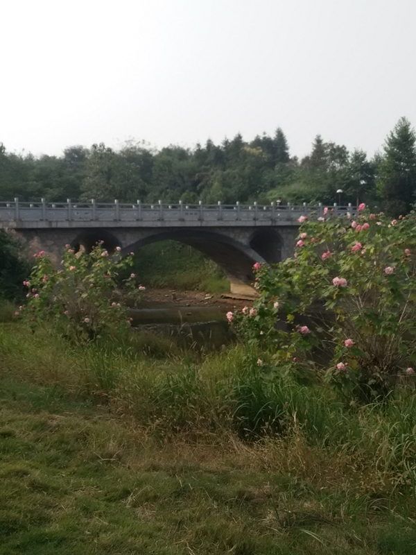 湖南城市学院校园风景(71731)