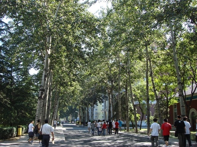 北京科技大学校园风景(74204)