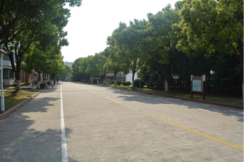 上海商学院校园风景73787