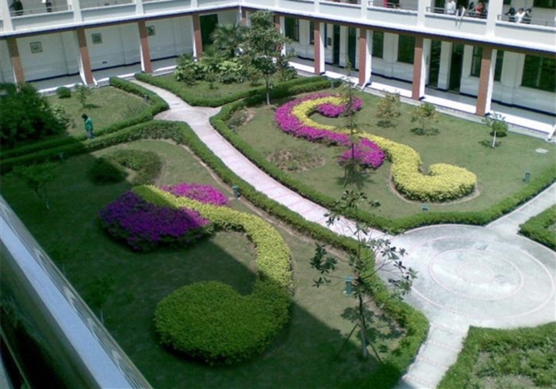 上海商学院校园风景74272