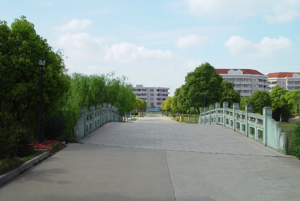 上海海关学院校园风景82477