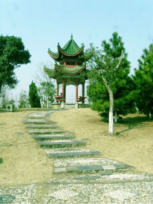 江西师范大学校园风景(94776)