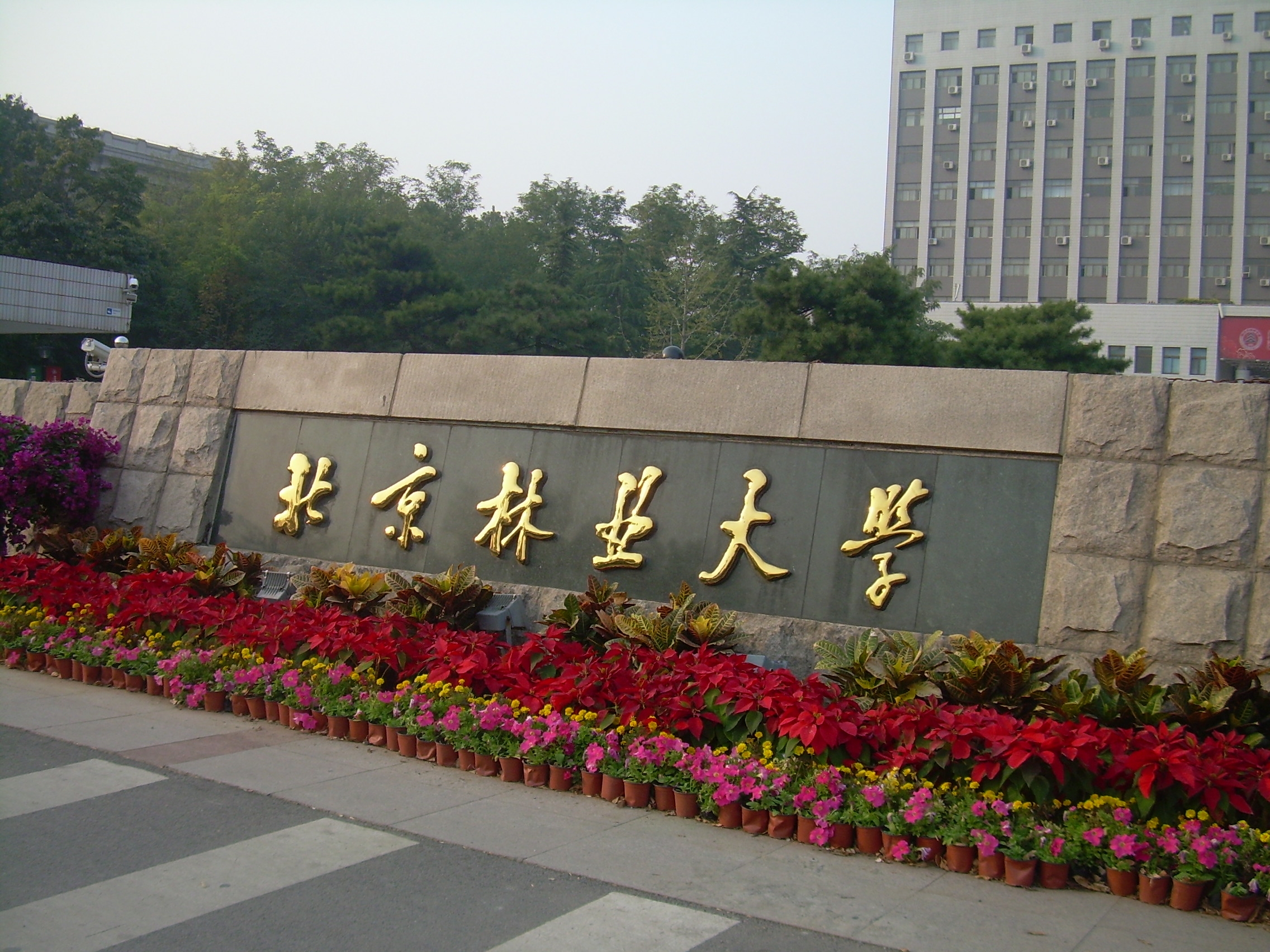 北京林业大学校园风景69767