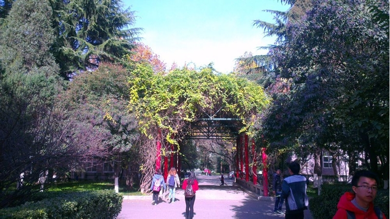 陕西师范大学校园风景102060