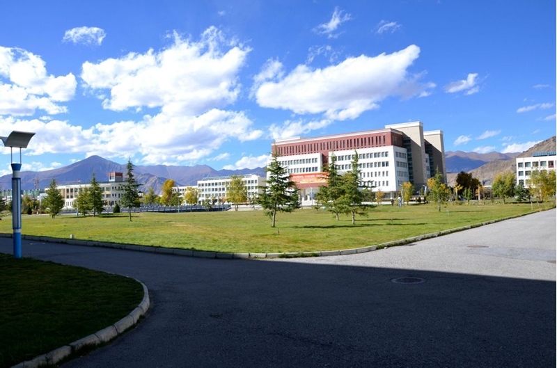 西藏大学校园风景106097