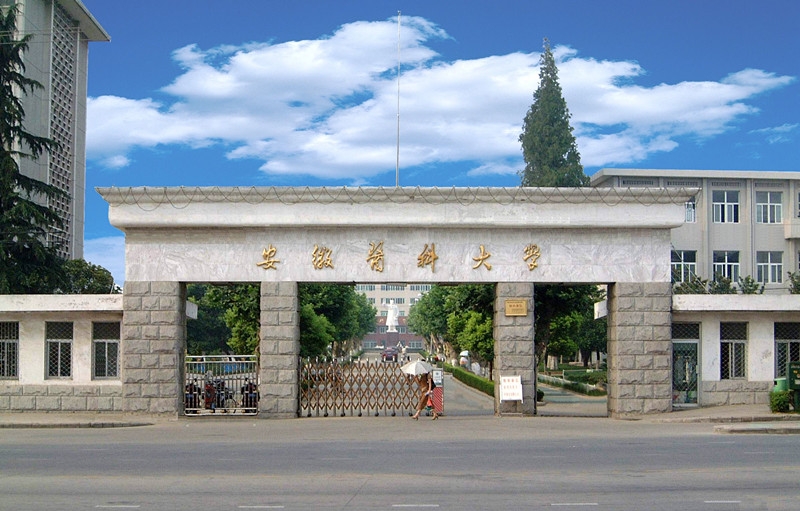 安徽医科大学校园风景74622