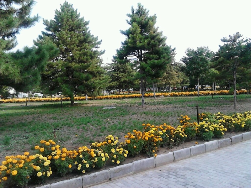 内蒙古科技大学校园风景82489