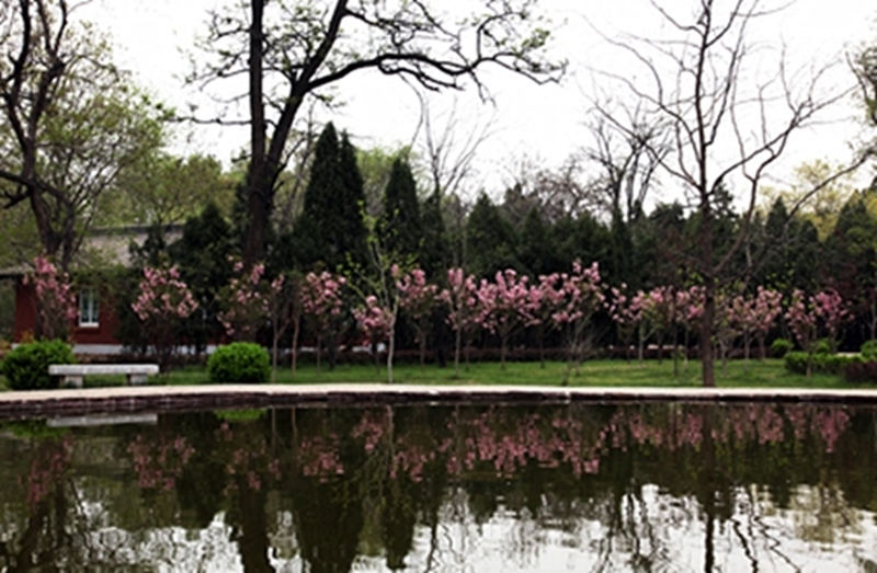 山西农业大学校园风景(100389)