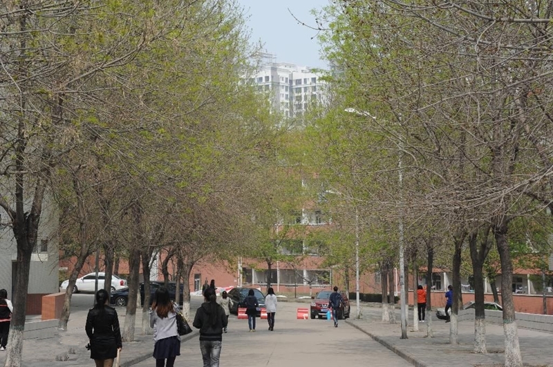 河南城建学院校园风景(104826)