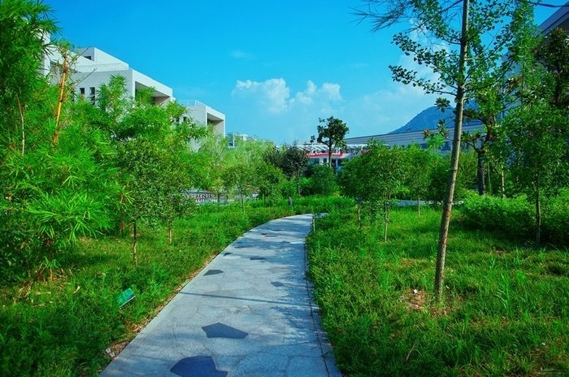 福建工程学院校园风景(71597)